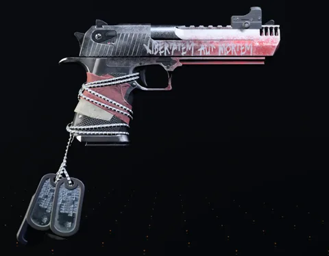 Liberty — Pistol in The Division 2