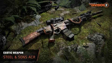 Steel & Sons ACR — Rifle in The Division 2