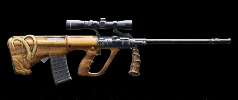 The Bighorn — Assault Rifle in The Division 2