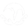 Storm Surge ability icon