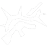 Steel Garden ability icon