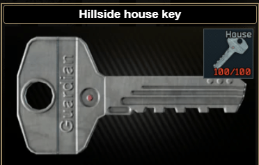 ☑️Мerin car key + hillside house